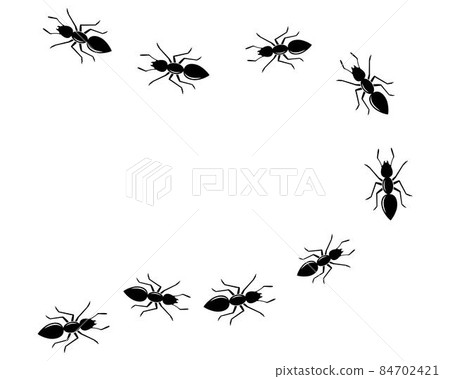 ant logo icon vector illustration design 84702421