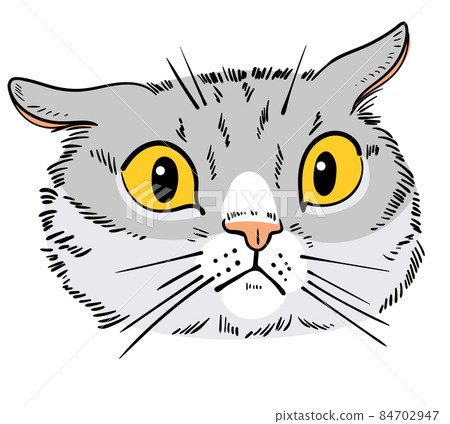 Awesome cat. Cat portrait drawing. Cartoon characters Awesome cat. Cat portrait drawing. Cartoon characters 84702947