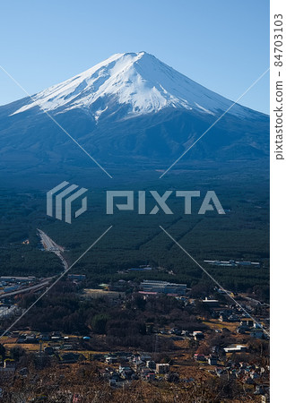 市區、青木原森林和富士山 84703103
