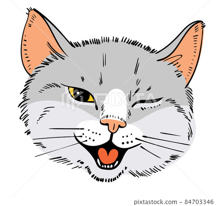 Feline grin. Cat stuck out his tongue and winks with one eye 84703346