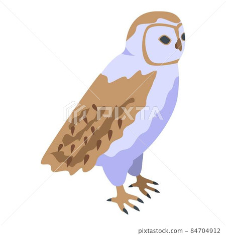 Owl icon, isometric style Owl icon, isometric style 84704912