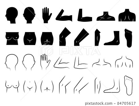 Body parts set (female) 84705617