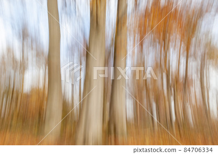 Forest landscape in autumn with defocused effect. France. Forest landscape in autumn with defocused effect. France. 84706334