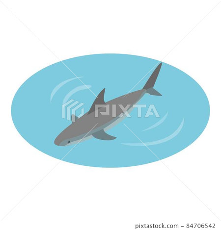 Shark icon, isometric style Shark icon, isometric style 84706542