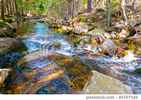 A small mountain river flows over rocks in the forest. 84707589