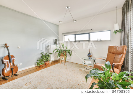 A bright room with many plants and a leather armchair A bright room with many plants and a leather armchair 84708505