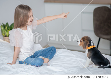 Pleased female child practicing a new command with a puppy Pleased female child practicing a new command with a puppy 84709687