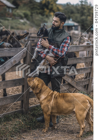A happy farmer holding a cute goatling A happy farmer holding a cute goatling 84709729