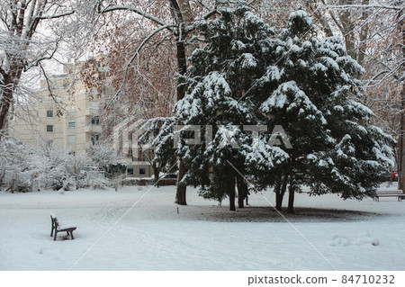 Strasbourg and velo under snow at winter Strasbourg and velo under snow at winter 84710232