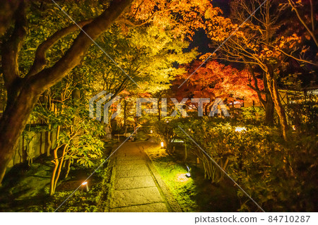 Entoku-in's autumn leaves special nighttime visit 84710287