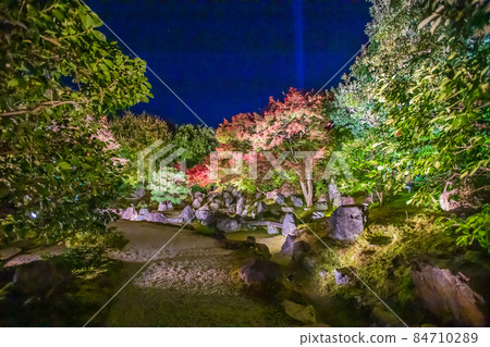 圓德院的秋葉特別夜遊 84710289