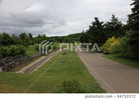 Rose Garden_Iwamizawa Park 84710572
