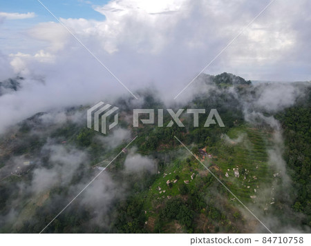 Low morning cloud at the terrace plantation of Penang in morning. Low morning cloud at the terrace plantation of Penang in morning. 84710758