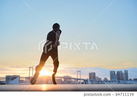 Male prosthesis Male prosthesis 84711139