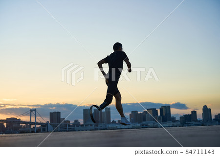Male prosthesis Male prosthesis 84711143