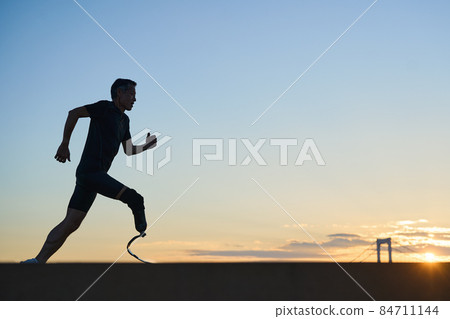 Male prosthesis Male prosthesis 84711144