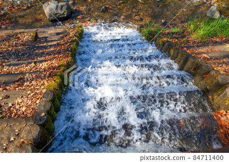 小平之里水上樂園 Waterside Autumn Leaves Season Autumn Scene 小平之里水上樂園 Waterside Autumn Leaves Season Autumn Scene 84711400