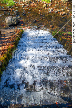 小平之里水上樂園 Waterside Autumn Leaves Season Autumn Scene 84711409