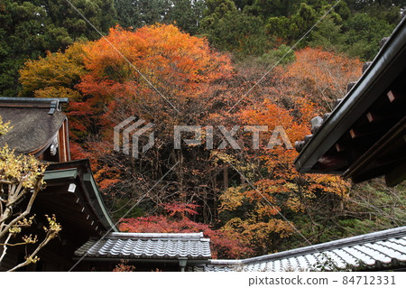 Gwangmou-in 84712331