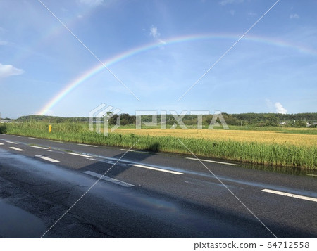 偶然看見的彩虹 84712558