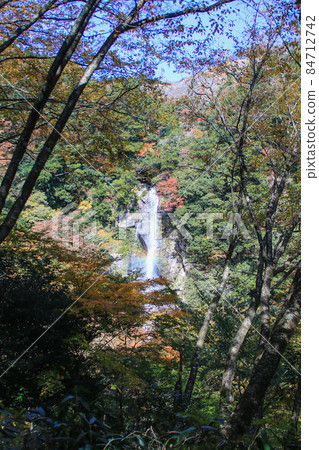 Senden Falls Falls Senden Falls Falls 84712742