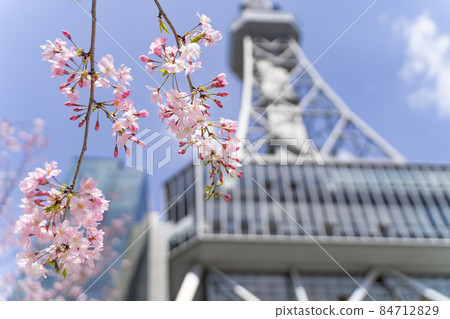 Nagoya TV Tower (Chubu Electric Power MIRAI TOWER) and Sakura Shikawa Nagoya TV Tower (Chubu Electric Power MIRAI TOWER) and Sakura Shikawa 84712829