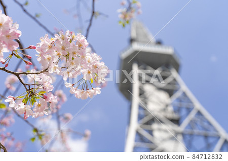 名古屋電視塔（中部電力未來塔）和Sakura Shikawa 84712832