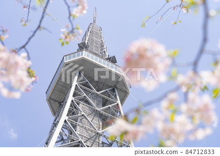 名古屋電視塔（中部電力未來塔）和Sakura Shikawa 84712833