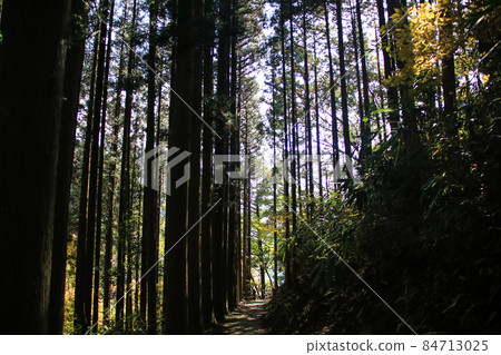 Road to Sendan Todoro Waterfall 84713025