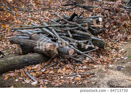 Pruning branches pruning/branch cutting Pruning branches pruning/branch cutting 84713730