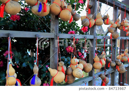 Sengoku Castle Sunomata Ichiya Castle Walk 36 (Sunomata, Ogaki City, Gifu Prefecture) 84713987