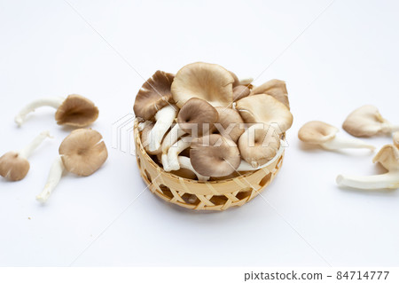 Fresh oyster mushroom in bamboo basket on white background. 84714777