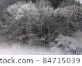 A quiet forest with hoarfrost on a cold morning 84715039