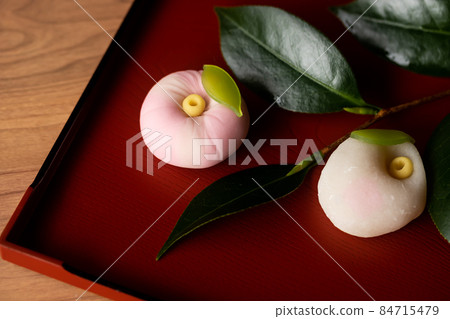 High-quality sweets, snow camellia and winter camellia High-quality sweets, snow camellia and winter camellia 84715479