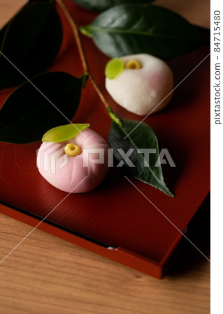 High-quality sweets, snow camellia and winter camellia 84715480
