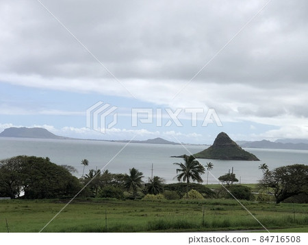 從夏威夷古蘭尼牧場看到的雨海 84716508