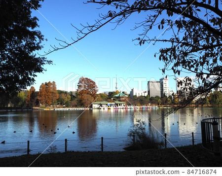 忍池水面和小船 忍池水面和小船 84716874