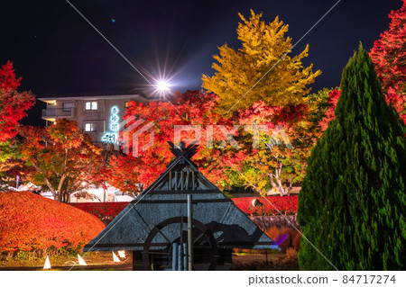 《Yamanashi Prefecture》 Maple Corridor, Illuminated by Lake Kawaguchi 84717274