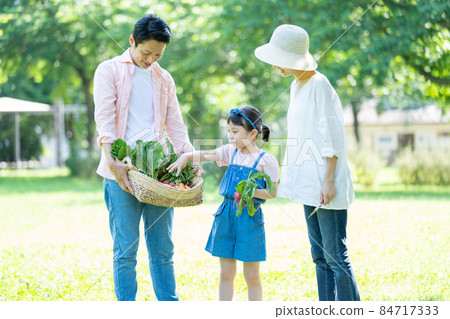 Family outdoor kitchen garden 84717333