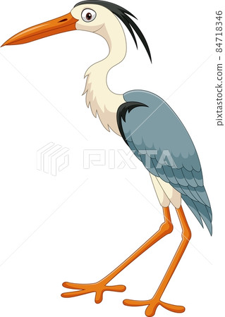 Cartoon funny crane bird on white background 84718346