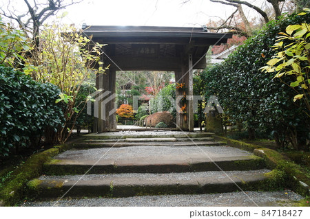 名月院 名月院 84718427
