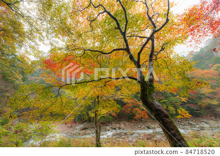 深秋三段峽景區山間溪流風光 84718520