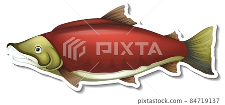 Fish animal cartoon sticker 84719137