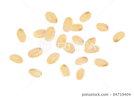 糙米手繪插畫 84719404