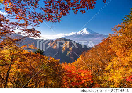 《山梨縣》紅葉與富士山 / 秋景 84719848