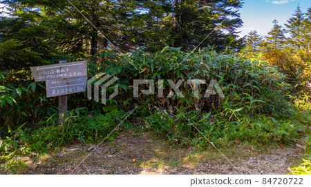 Kaedegawa mountain trail branch (Yamagata prefecture, Zao hot spring, Mt. Zao) Kaedegawa mountain trail branch (Yamagata prefecture, Zao hot spring, Mt. Zao) 84720722