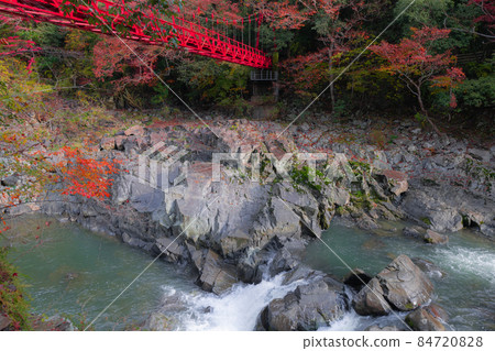 山口縣長門峽谷秋葉 山口縣長門峽谷秋葉 84720828