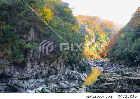 Autumn leaves of Yamaguchi Prefecture Nagato Gorge Autumn leaves of Yamaguchi Prefecture Nagato Gorge 84720830