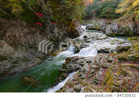 山口縣長門峽谷秋葉 山口縣長門峽谷秋葉 84720832