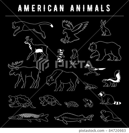 居住在美洲的動物插圖集 84720983